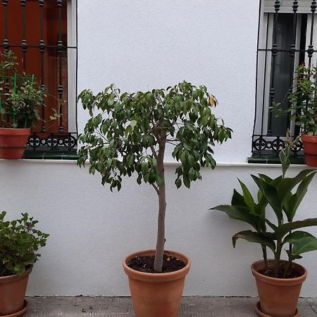 Carmona&House Apartment Seville Exterior photo